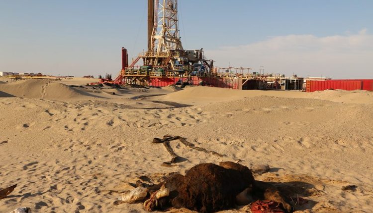 32938346_2051284065112049_2507622445385515008_n